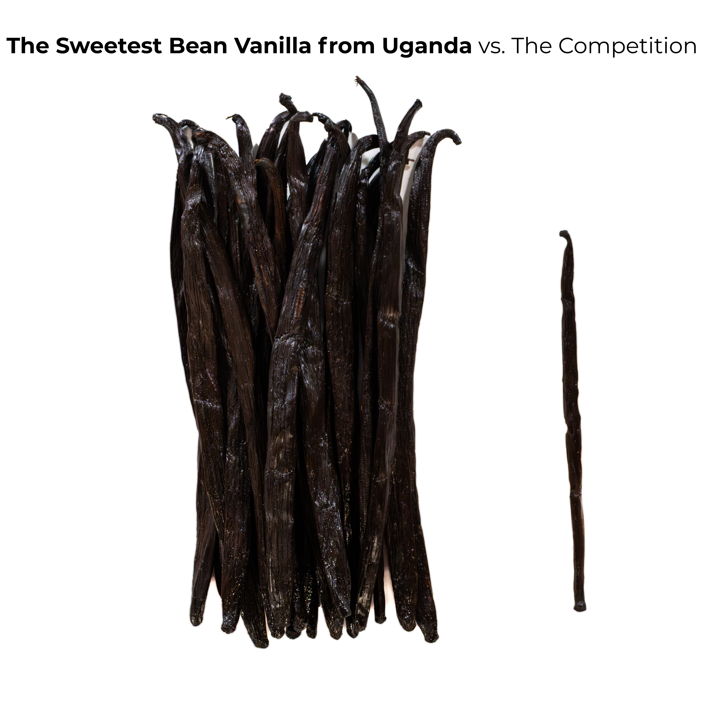Package of 25 Gourmet Grade-A Ugandan Vanilla Beans